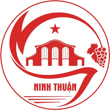 Vá vỏ
