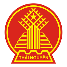 Cứu hộ