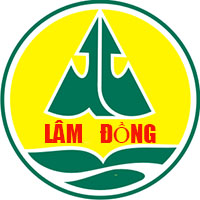 Cứu hộ